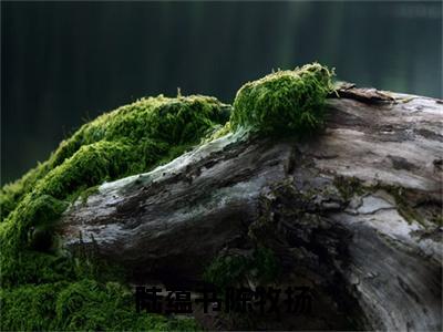 陆蕴书陈牧扬（陆蕴书陈牧扬）最新免费阅读-陆蕴书陈牧扬小说在线阅读（后续+全集）