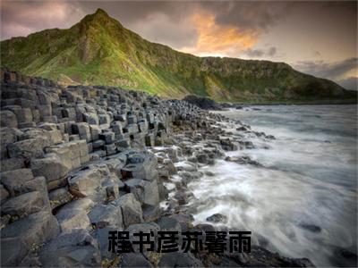 程书彦苏馨雨（苏馨雨程书彦）全文免费大结局小说-程书彦苏馨雨全文最新章节阅读