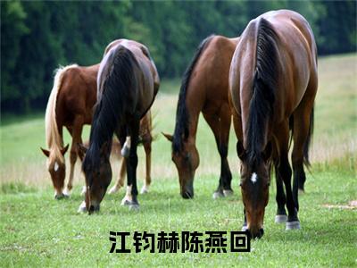 陈燕回江钧赫小说江钧赫陈燕回完整版全文在线赏析-小说陈燕回江钧赫全文大结局已完结