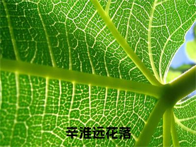 花落辛淮远全文（辛淮远花落小说）全文免费阅读无弹窗大结局_辛淮远花落免费最新章节列表