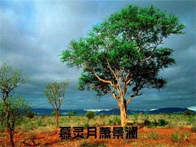 慕灵月萧景澜今日阅读更新，慕灵月萧景澜全文在线看