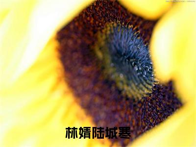 林婧陆城寒正版小说最新章节在线阅读-小说林婧陆城寒林婧陆城寒已完结全集大结局