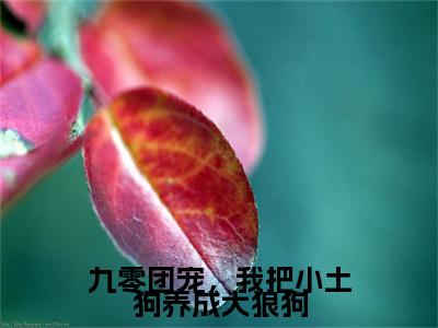 九零团宠，我把小土狗养成大狼狗（小九小说）小说免费最新章节列表_九零团宠，我把小土狗养成大狼狗笔趣阁（小九小说）