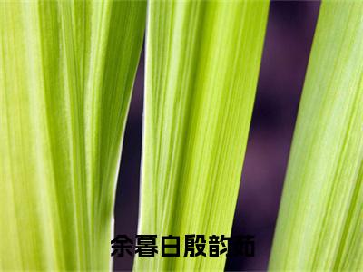 殷韵茹余暮白（余暮白殷韵茹小说）全文免费阅读无弹窗大结局_（殷韵茹余暮白小说）最新章节列表