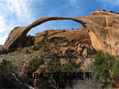 苏天全文免费阅读大结局-NBA之暮年球星系统结局免费阅读