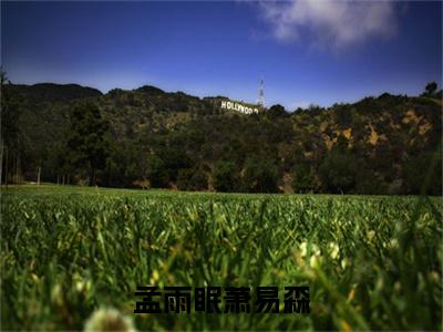 孟雨眠萧易森（萧易森孟雨眠）全文免费完结版阅读_（萧易森孟雨眠）孟雨眠萧易森最新章节列表笔趣阁