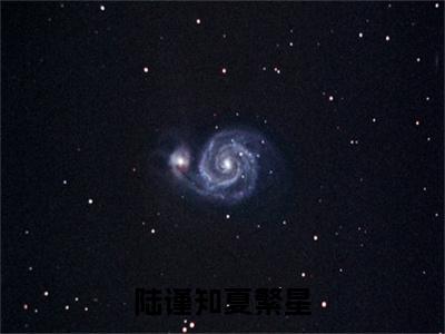 夏繁星陆谨知（陆谨知夏繁星）小说全文免费阅读正版无弹窗陆谨知夏繁星全文无弹窗阅读