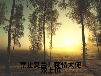 禁止复合！痴情大佬求上位小说主角叫什么墨瑾汐全文免费阅读大结局