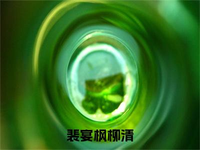 柳清裴宴枫（裴宴枫柳清）小说全文无删减版完整版_柳清裴宴枫最新章节列表_笔趣阁