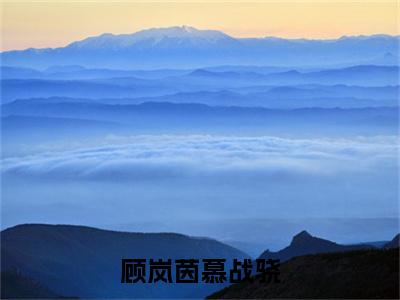 顾岚茵慕战骁免费阅读（顾岚茵慕战骁）全文免费阅读无弹窗大结局_顾岚茵慕战骁免费阅读最新章节列表