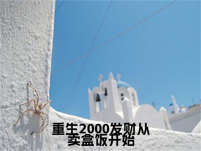 主角是何文琳的小说全文免费阅读无弹窗大结局-《重生2何文琳发财从卖盒饭开始》完整章节阅读