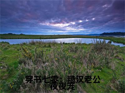 陆诗雨小说穿书七零：糙汉老公夜夜宠完整版大结局-陆诗雨小说完结版在线阅读