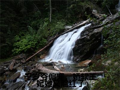 千岁爷偏宠，娇软王妃她又脸红了（慕雪落千尘珏）全文免费阅读无弹窗大结局_慕雪落千尘珏小说免费最新章节列表_笔趣阁