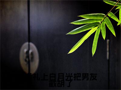 婚礼上白月光把男友截胡了精彩章节在线阅读_沈矜陈槿之免费观看（婚礼上白月光把男友截胡了）完结版_笔趣阁（沈矜陈槿之）