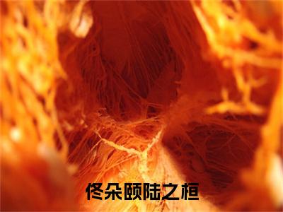 佟朵颐陆之桓全文免费阅读无弹窗大结局_佟朵颐陆之桓最新章节列表_笔趣阁