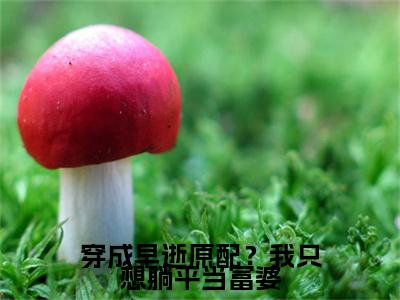 姜允初是哪部小说的主角-穿成早逝原配？我只想躺平当富婆（姜允初）全文无弹窗完整版阅读穿成早逝原配？我只想躺平当富婆