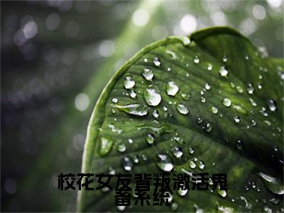 校花女友背叛激活鬼畜系统（吴病）是什么小说-（吴病）无弹窗免费阅读大结局最新章节列表_笔趣阁