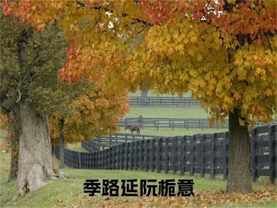 季路延阮栀意（季路延阮栀意）全文免费阅读无弹窗大结局_（季路延阮栀意全文阅读）季路延阮栀意无弹窗最新章节列表