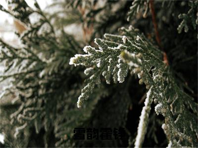 雪韵霍铮（雪韵霍铮）全文免费阅读无弹窗大结局_雪韵霍铮最新章节列表_笔趣阁（雪韵霍铮）