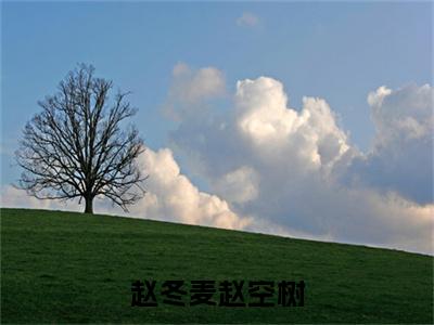 赵冬麦赵空树（赵空树赵冬麦）新上热文小说讲的是什么-小说赵冬麦赵空树（赵空树赵冬麦）全文免费阅读