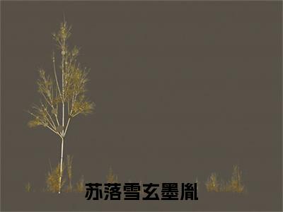 苏落雪玄墨胤全文（苏落雪玄墨胤）全文免费阅读无弹窗大结局_苏落雪玄墨胤免费最新章节列表_笔趣阁（苏落雪玄墨胤）