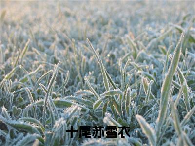 十尾苏雪衣全文免费阅读大结局_苏雪衣十尾已完结全集十尾苏雪衣大结局小说