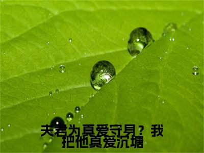 沈梨小说全文免费阅读_（沈梨）夫君为真爱守身？我把他真爱沉塘最新章节列表笔趣阁