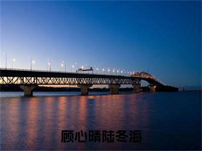 顾心晴陆冬海（顾心晴陆冬海）全文免费阅读无弹窗大结局_顾心晴陆冬海免费最新章节列表_笔趣阁（顾心晴陆冬海）