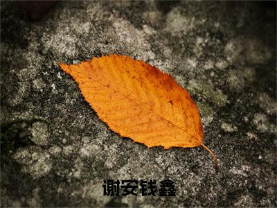 谢安钱鑫（钱鑫谢安）全文免费阅读无弹窗_（钱鑫谢安）谢安钱鑫最新章节列表