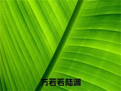 陆渊方若若（方若若陆渊）全文在线阅读无弹窗大结局_陆渊方若若精选免费小说大结局阅读_方若若陆渊