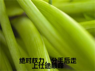 绝对权力，分手后走上仕途巅峰全文免费阅读-（关之峰）小说全文免费阅读正版无弹窗