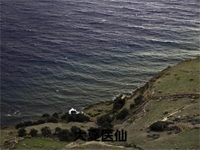 大夏医仙（秦皓）全文免费阅读无弹窗大结局_大夏医仙最新章节列表-笔趣阁秦皓