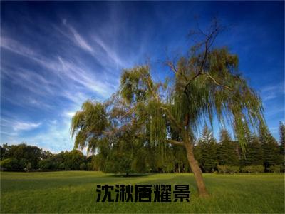 唐耀景沈湫（沈湫唐耀景）全文免费阅读无弹窗_唐耀景沈湫最新小说_笔趣阁（沈湫唐耀景）