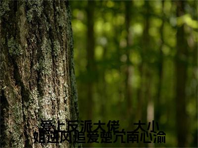 爱上反派大佬，大小姐逆风追爱楚冗南心渝（楚冗南心渝小说）全文免费阅读无弹窗大结局_爱上反派大佬，大小姐逆风追爱楚冗南心渝最新章节