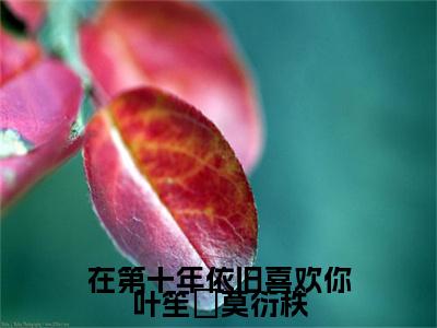 （热推新书）在第十年依旧喜欢你叶笙氿莫衍秩完整版免费小说无弹窗阅读_在第十年依旧喜欢你叶笙氿莫衍秩最新章节列表_笔趣阁（叶笙氿莫衍秩）