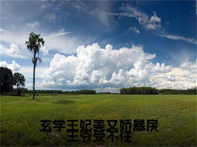 玄学王妃美又娇暴戾王爷受不住小说全文（溪云眠）精选免费小说_玄学王妃美又娇暴戾王爷受不住小说全文最新章节列表