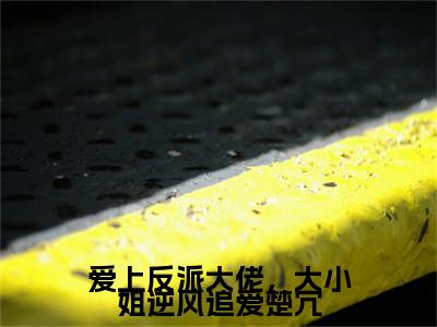 楚冗南心渝（爱上反派大佬，大小姐逆风追爱楚冗）全文免费阅读无弹窗大结局_楚冗南心渝最新章节列表_笔趣阁（爱上反派大佬，大小姐逆风追爱楚冗）