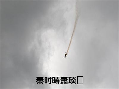 【新书】《萧琰璟秦时曦》全文免费阅读无弹窗大结局-秦时曦萧琰璟全文全章节免费阅读