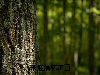 宋淮清林芷晞（宋淮清林芷晞）全文在线阅读无弹窗大结局_宋淮清林芷晞精选免费小说大结局阅读_宋淮清林芷晞