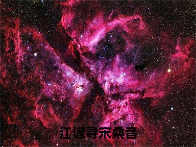 江谚寻宋桑音（宋桑音江谚寻）全文免费阅读无弹窗大结局_江谚寻宋桑音最新章节列表_笔趣阁