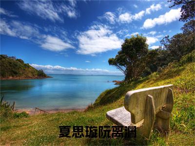 夏思璇阮离渊（夏思璇阮离渊）免费阅读无弹窗大结局-夏思璇阮离渊（最新全章节大结局）全文阅读