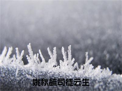 姚秋毓司徒云生小说最新章节（司徒云生姚秋毓）全文免费阅读无弹窗大结局_司徒云生姚秋毓免费阅读（姚秋毓司徒云生小说）