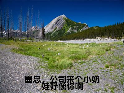 墨总，公司来个小奶娃好像你啊小说（慕初夏宫辰逸）全文免费阅读_（慕初夏宫辰逸）墨总，公司来个小奶娃好像你啊小说最新章节列表