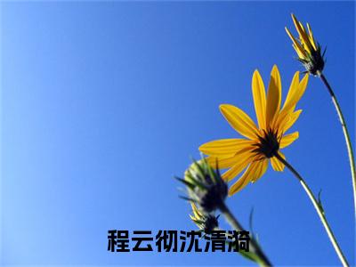 （沈清漪程云彻）程云彻沈清漪无弹窗免费阅读沈清漪程云彻大结局无删阅读_笔趣阁