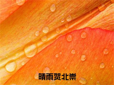 晴雨贺北崇（晴雨贺北崇）小说全文免费阅读无弹窗大结局_晴雨贺北崇小说免费阅读最新章节列表笔趣阁（晴雨贺北崇）