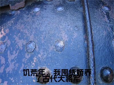 饥荒年，我囤货娇养了古代大将军（叶苜苜）小说全文免费阅读无弹窗大结局_饥荒年，我囤货娇养了古代大将军最新章节列表