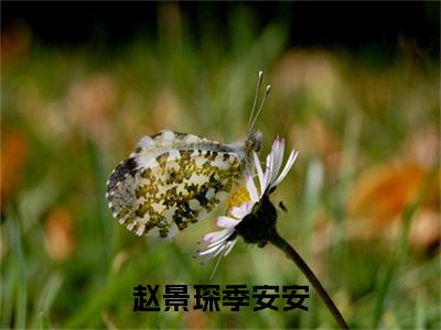 赵景琛季安安小说最新章节在线阅读_赵景琛季安安在线阅读