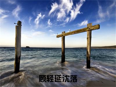 顾轻延沈落（沈落顾轻延）小说全文免费阅读-顾轻延沈落（沈落顾轻延）免费在线阅读完整版