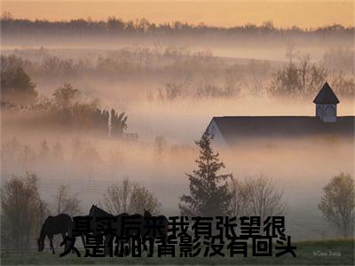 其实后来我有张望很久是你的背影没有回头（桑桐裴祎）免费阅读完整版-（其实后来我有张望很久是你的背影没有回头小说）桑桐裴祎全文大结局已完结