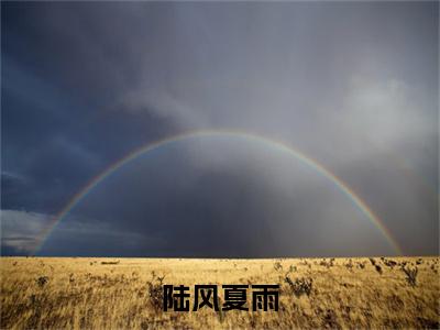 夏雨陆风小说免费全本-陆风夏雨小说（夏雨陆风完整版）免费阅读